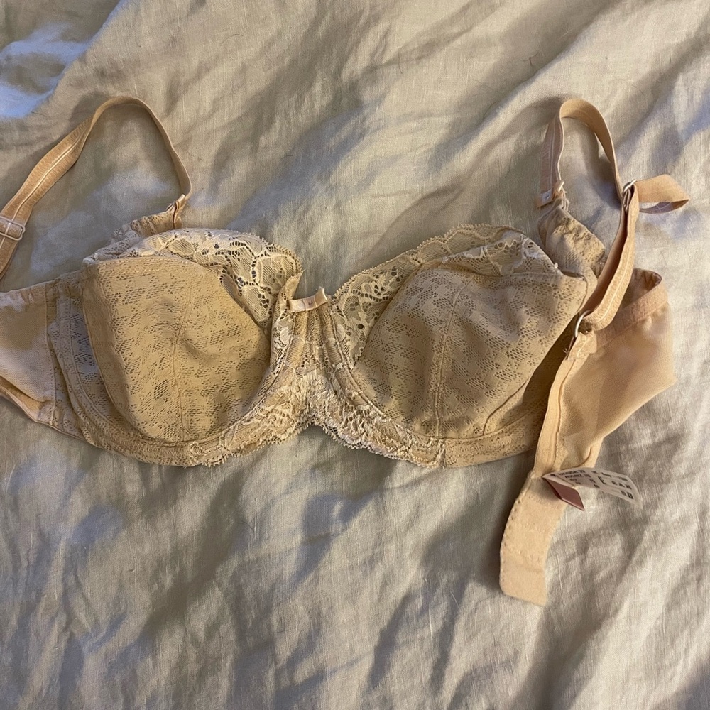 Panache Envy 32E